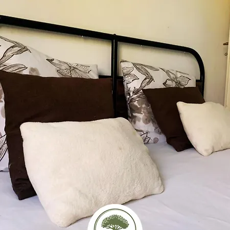 D'hotes Sous Les Grands Chenes Zen Saint-Etienne-de-Corcoue