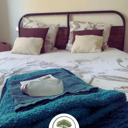 לינה וארוחת בוקר D'hotes Sous Les Grands Chenes Zen